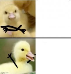 Drake Duck Meme Template