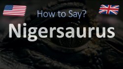 nigersaurus☠ Meme Template