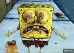sponch bub Meme Template