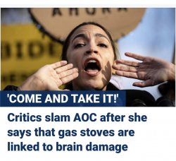 AOC Meme Template