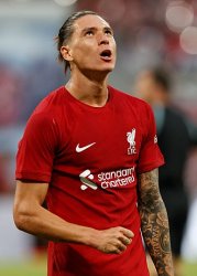 Darwin Meme Template