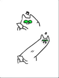 Disgusted cat Meme Template