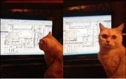 Cat engineer Meme Template