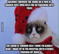 grumpy cats normal christmas Meme Template