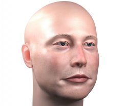 Elon musk bald Meme Template