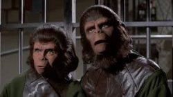 Apes Meme Template