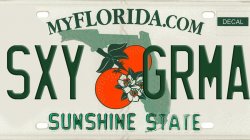 Florida tag Meme Template