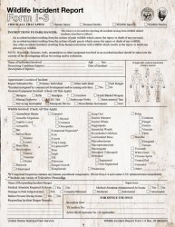 Mystery flesh pit incident report Meme Template