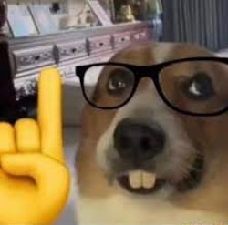 nerd dog Meme Template