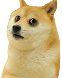 Depressed doge Meme Template