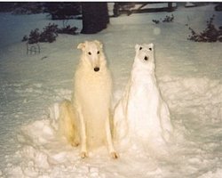 Cursed Dog with Snowman Meme Template