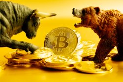 bitcoin bull bear Meme Template