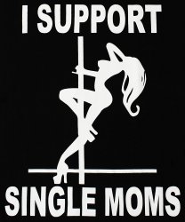 I support single moms stripper dancer Meme Template