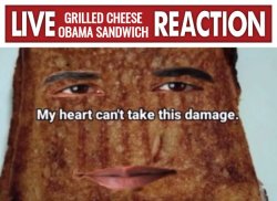 Live grilled cheese Obama sandwich reaction Meme Template
