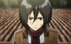Mikasa hurt Meme Template