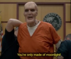 You´re only made of moonlight Meme Template