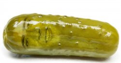 pickle Meme Template