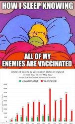 got vax Meme Template