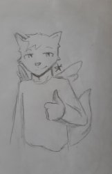 Flipper Meme Template