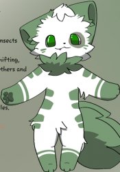 issy the furry Meme Template