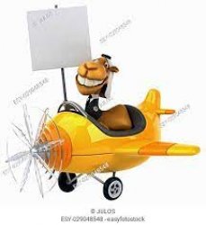 Camel with sign and in plane(sorry for watermark) Meme Template