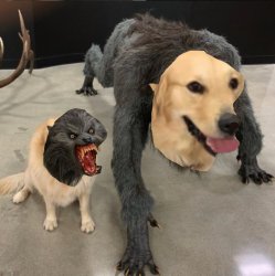 Were vs Dogwolf Meme Template