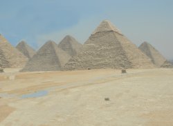 Rare EGYPT Meme Template