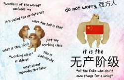 Chinese term for working-class Meme Template