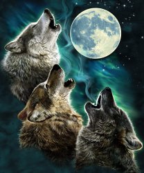 Three Wolf Moon Meme Template