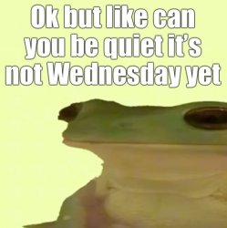 It’s not Wednesday my dudes Meme Template
