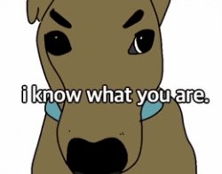 I know what you are Meme Template