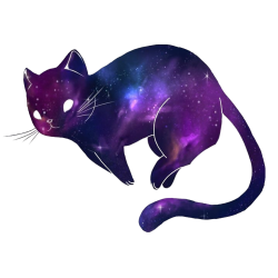 space cat Meme Template