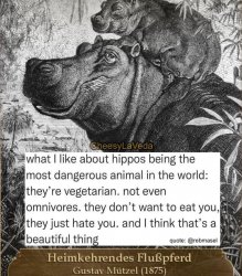 Hippos hate you Meme Template