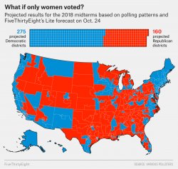 2018 midterms if only women voted Meme Template
