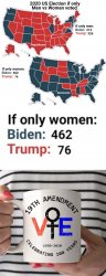 2020 election won by women Meme Template