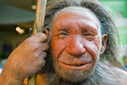 Neanderthal Meme Template