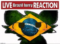 live brazil furry reaction Meme Template