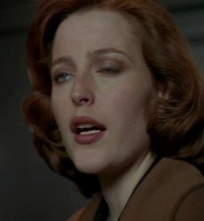 Scully look of disbelief Meme Template