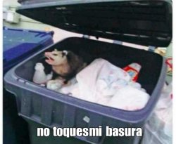 no toques mi basura Meme Template