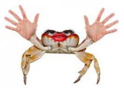 Crab with hands Meme Template