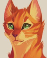 Firepaw/Fireheart/Firestar Meme Template