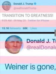 Donald Trump Transition to greatness Weiner is gone Meme Template