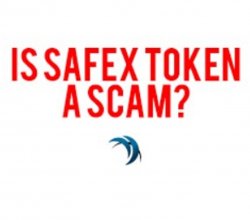 Is safex a scam? Meme Template