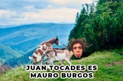 Mauro Burgos cabra comemierda Meme Template