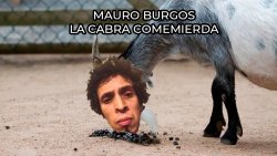 Juan tocades es Mauro Burgos Meme Template