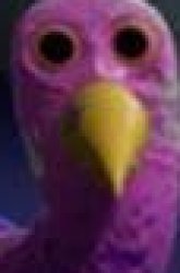 bird up face Meme Template