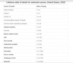 Odds of Dying - USA 2020 Meme Template