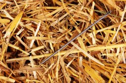 needle in a haystack Meme Template