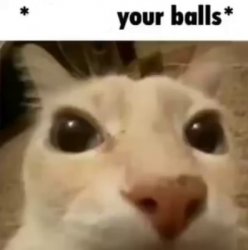 X your balls Meme Template