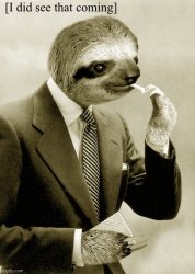 Gentleman sloth I did see that coming Meme Template